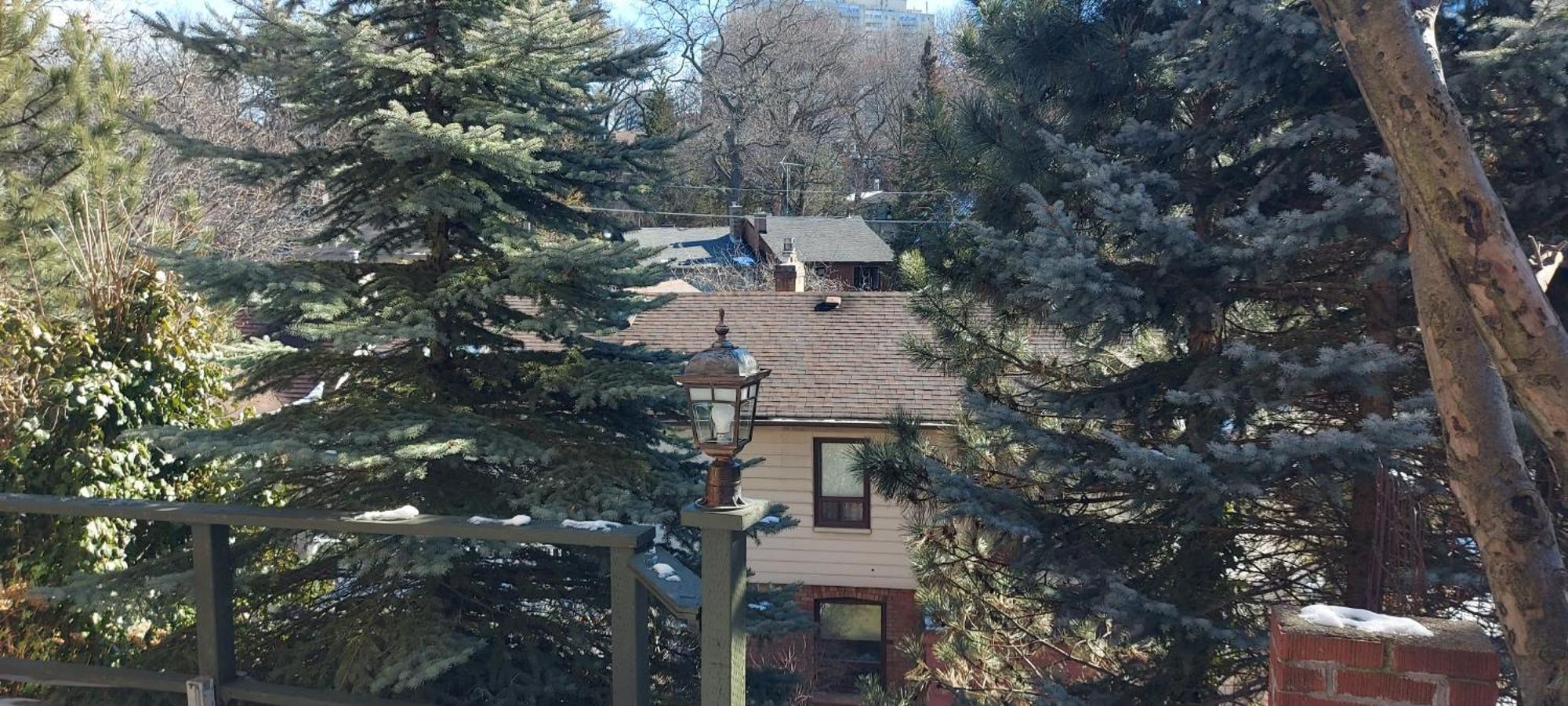 High Park Single Room With Personal Washroom And Kitchen Toronto Exterior photo
